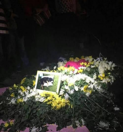 靖西的网友怎么看，一个狗疑被保安打死，爱狗者排队祭奠播经文超度 - 靖西市·靖西网