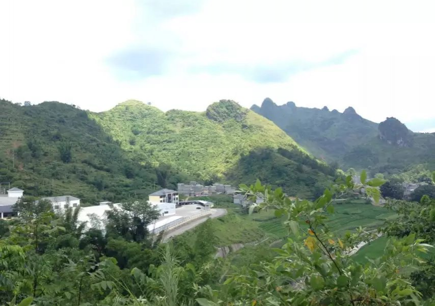 神奇的巴马，美丽的风景，跟神奇的靖西比怎么样？ - 靖西市·靖西网