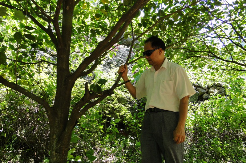 靖西市发现壮族长寿带！一条壮族长寿带从魁圩乡、果乐乡、龙临镇一直延伸到靖西市区北面的武平镇。 - 靖西市·靖西网