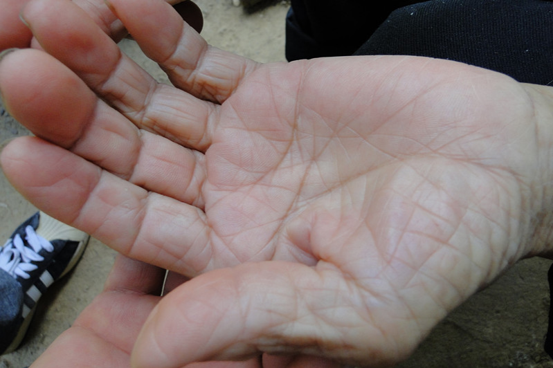 靖西市发现壮族长寿带！一条壮族长寿带从魁圩乡、果乐乡、龙临镇一直延伸到靖西市区北面的武平镇。 - 靖西市·靖西网