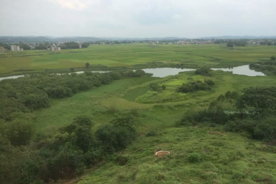 看太多山景，这样的风景别样美！ - 靖西市·靖西网