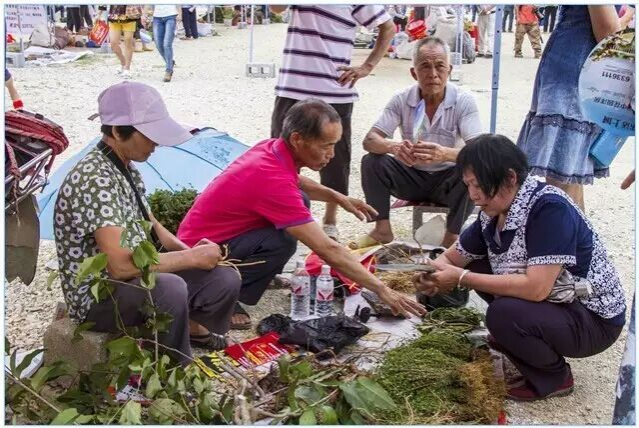 2016中国·靖西端午药市万人齐聚，您来了吗？ - 靖西市·靖西网