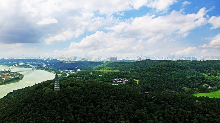 美丽的家园，绿色的世界。 - 靖西市·靖西网