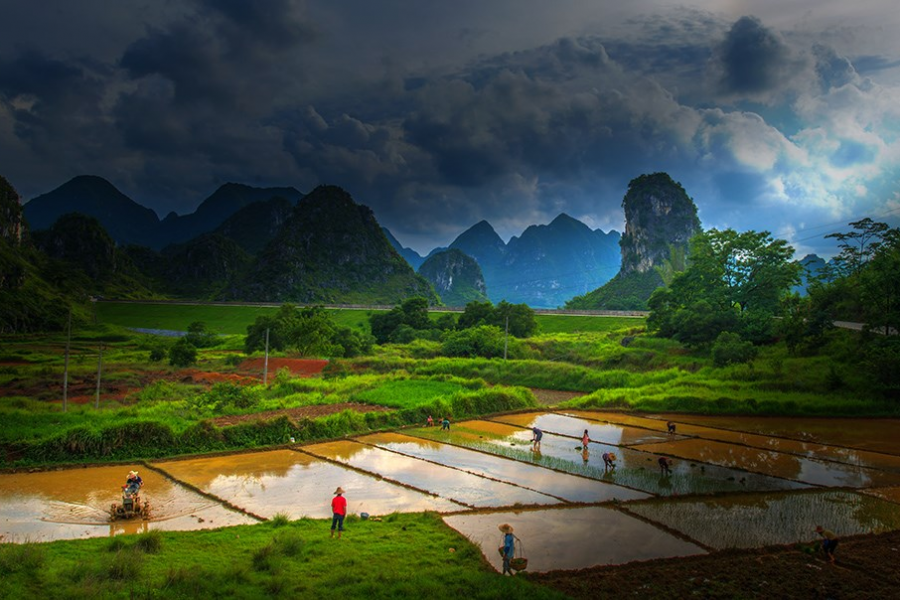 记录靖西精彩的每一瞬间（2016年摄影大赛作品） - 靖西市·靖西网