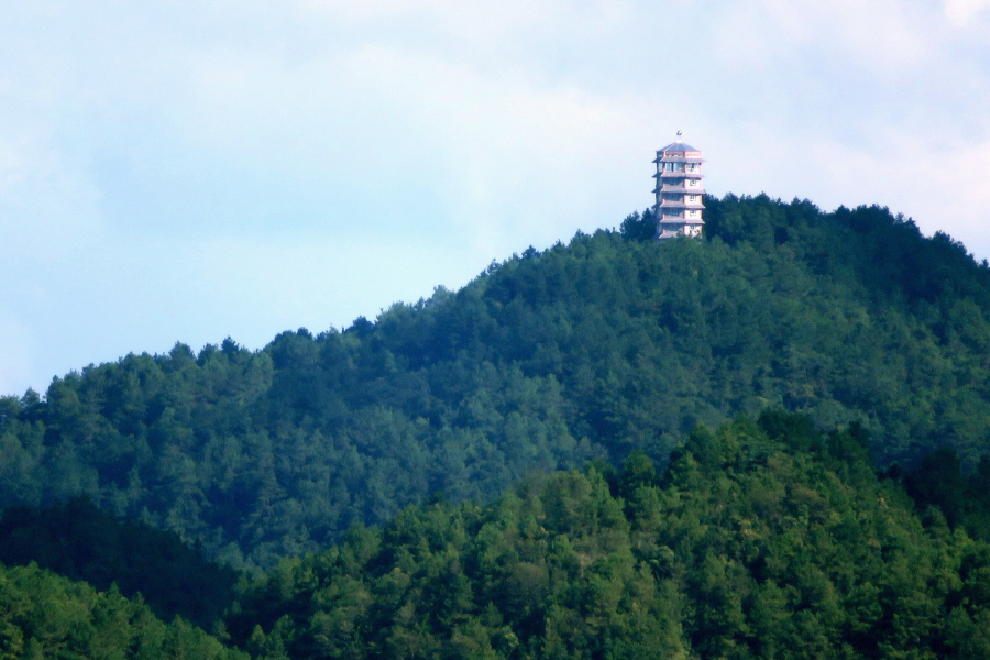 爬金山，眺望五岭森林公园观光塔。 - 靖西市·靖西网