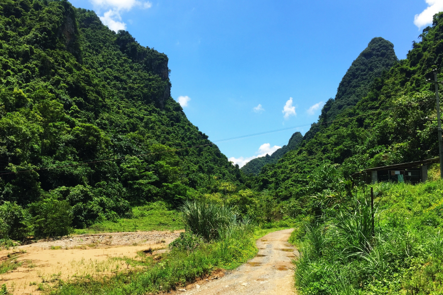 寂静的山里：群蝉越噪林逾静，一鸟不鸣山更幽。 - 靖西市·靖西网