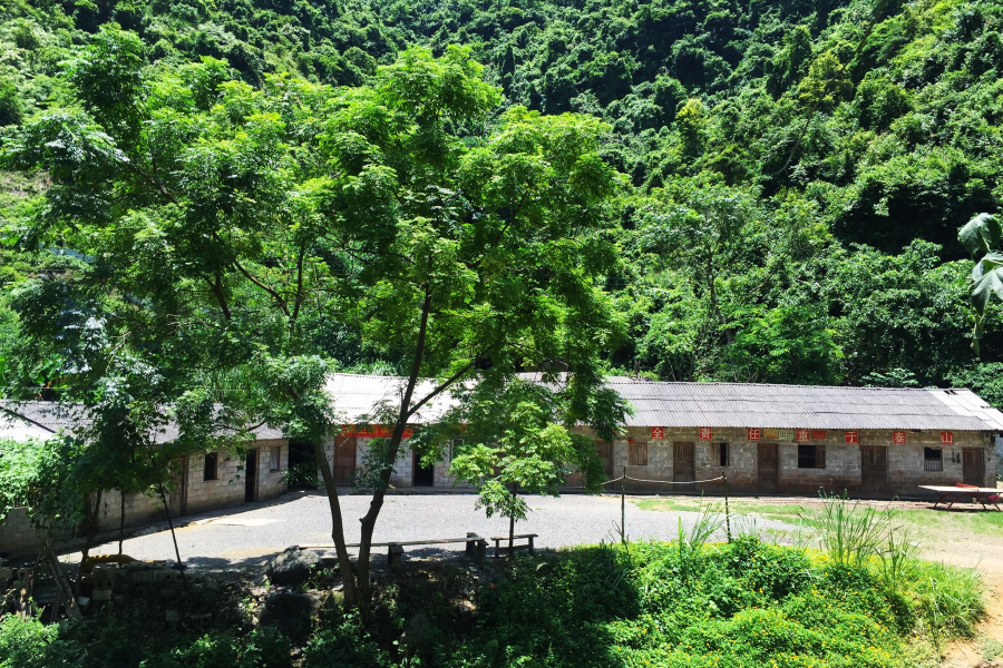 寂静的山里：群蝉越噪林逾静，一鸟不鸣山更幽。 - 靖西市·靖西网