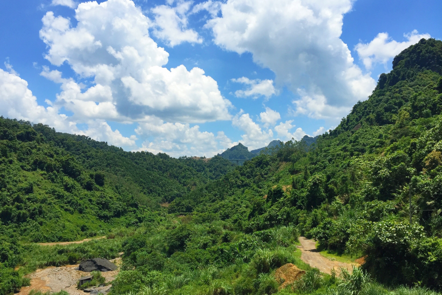 寂静的山里：群蝉越噪林逾静，一鸟不鸣山更幽。 - 靖西市·靖西网