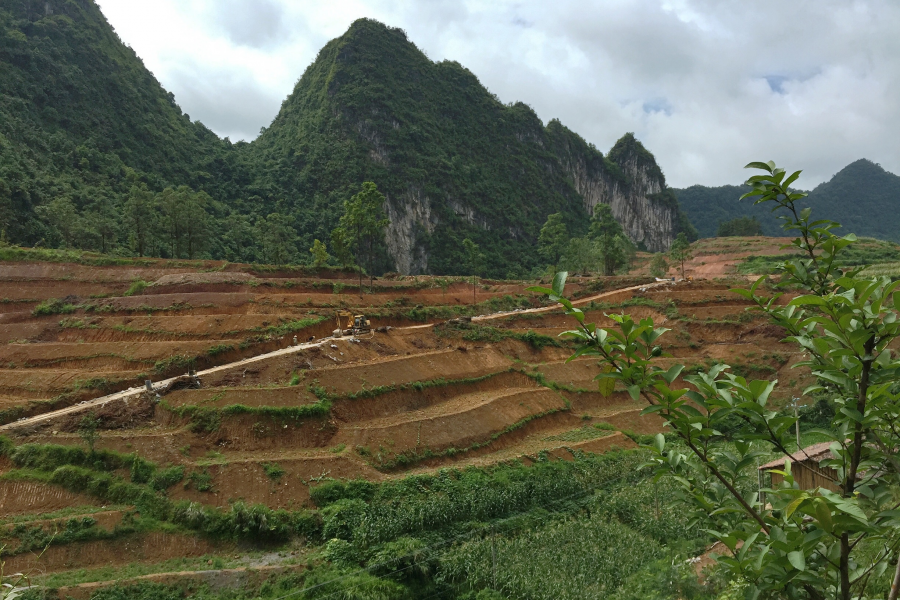 别的地方是退耕还林，这个地方却开荒造地。 - 靖西市·靖西网