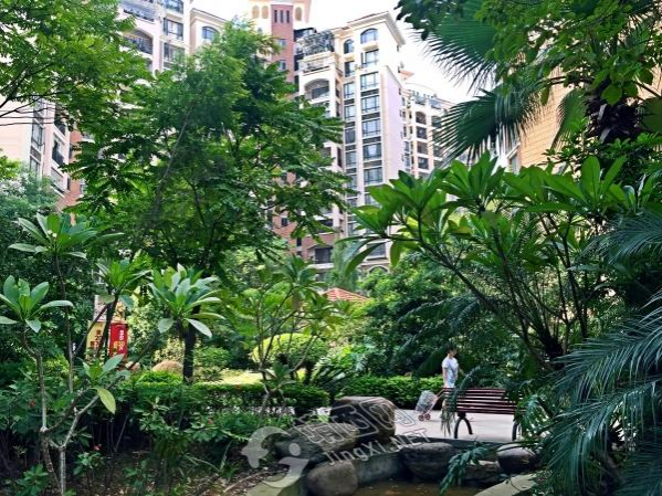 绿色的城市，美丽的家园。 - 靖西市·靖西网