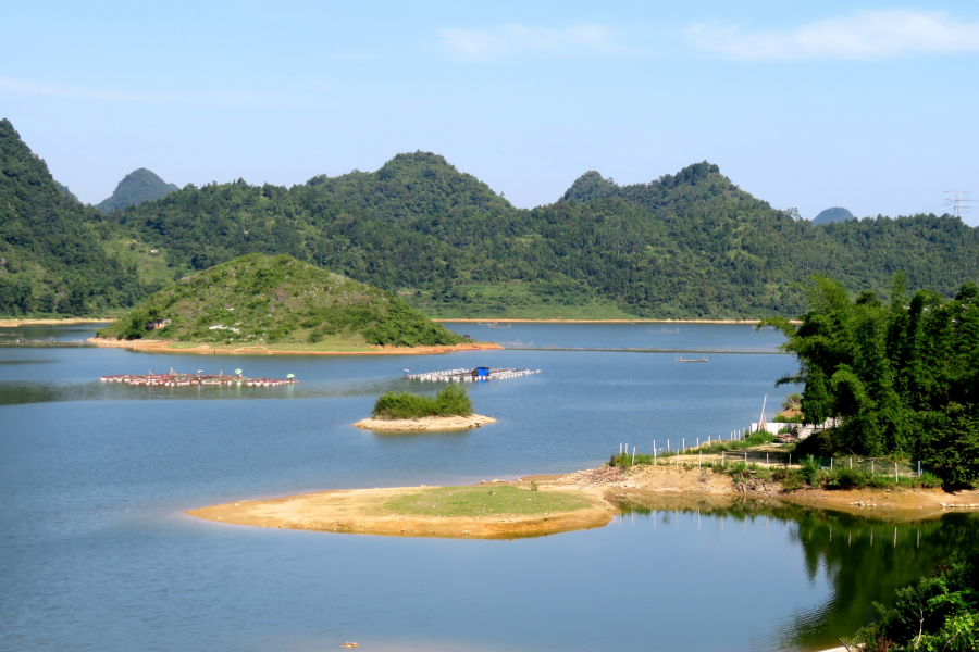 水波粼粼荷皎洁，朋怀湖边有美景。 - 靖西市·靖西网