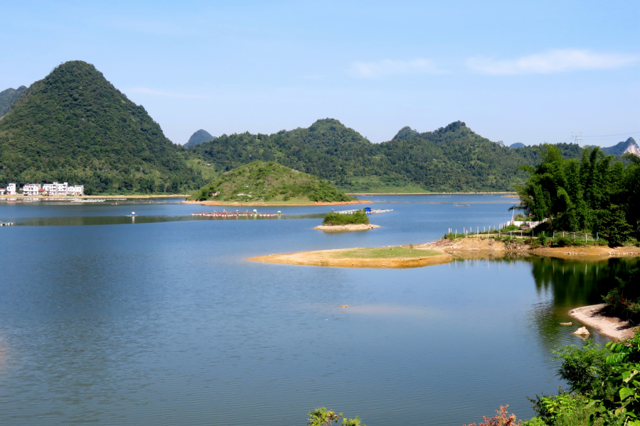 水波粼粼荷皎洁，朋怀湖边有美景。 - 靖西市·靖西网