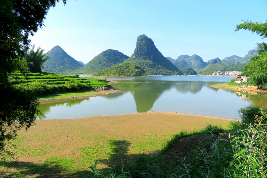 水波粼粼荷皎洁，朋怀湖边有美景。 - 靖西市·靖西网