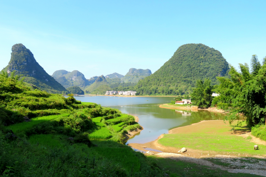 水波粼粼荷皎洁，朋怀湖边有美景。 - 靖西市·靖西网