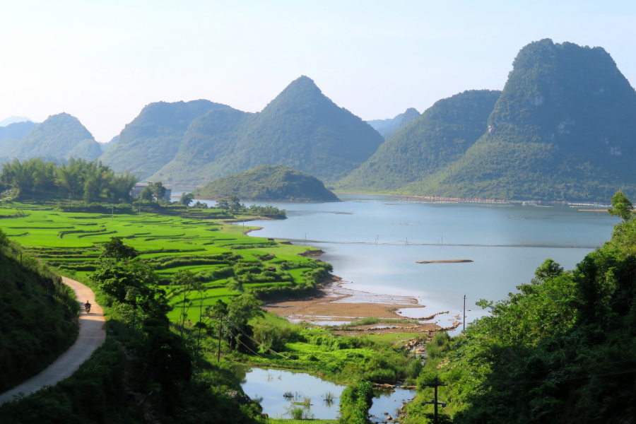 水波粼粼荷皎洁，朋怀湖边有美景。 - 靖西市·靖西网