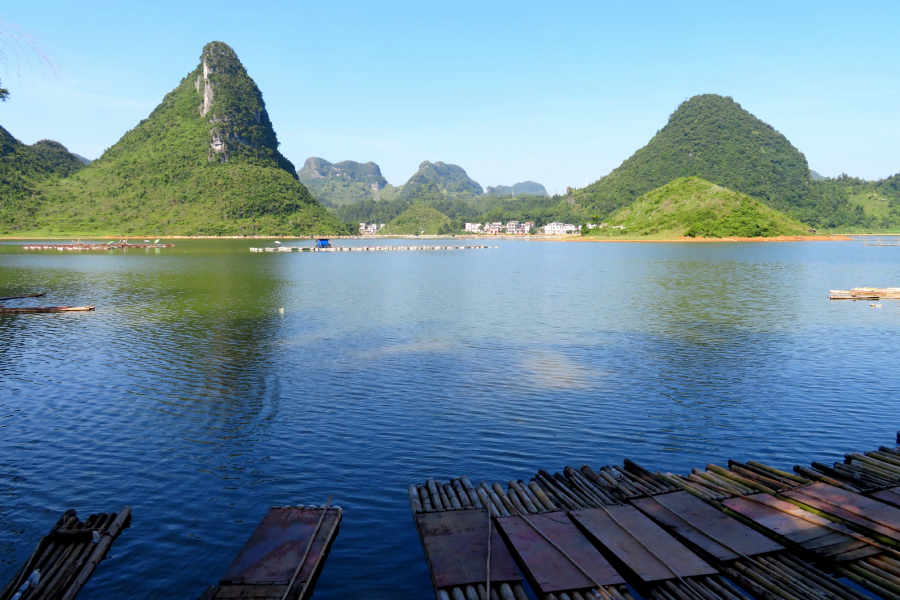 水波粼粼荷皎洁，朋怀湖边有美景。 - 靖西市·靖西网