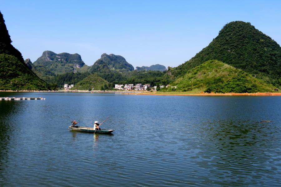 水波粼粼荷皎洁，朋怀湖边有美景。 - 靖西市·靖西网