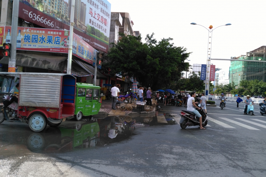 靖西“鸭霸街节”，大街小巷路边都是鸭的地盘 - 靖西市·靖西网