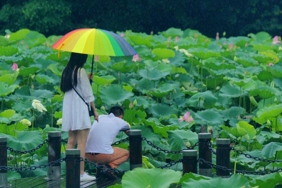 浪漫的雨季，总是让人向往和留恋 - 靖西市·靖西网