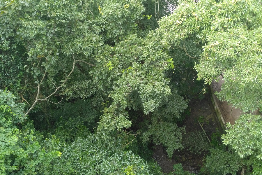 三叠岭瀑布顶部的度假酒店 - 靖西市·靖西网