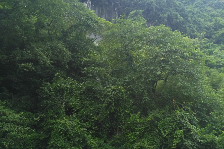 三叠岭瀑布顶部的度假酒店 - 靖西市·靖西网