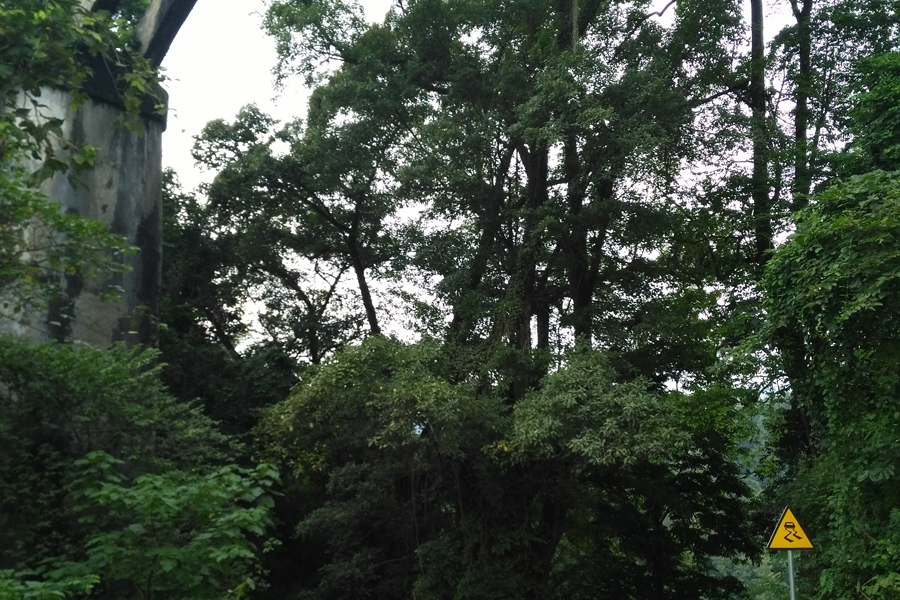 三叠岭瀑布顶部的度假酒店 - 靖西市·靖西网