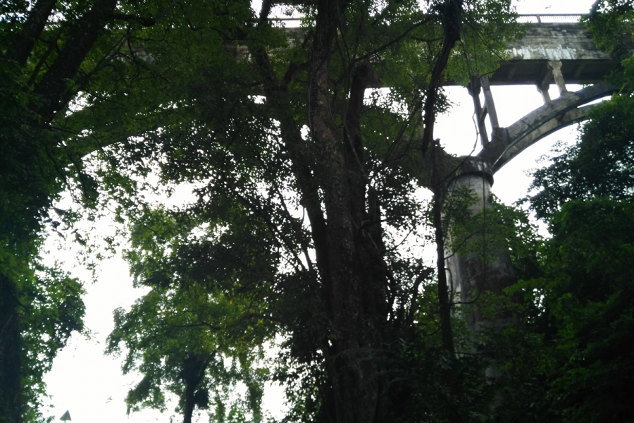 三叠岭瀑布顶部的度假酒店 - 靖西市·靖西网