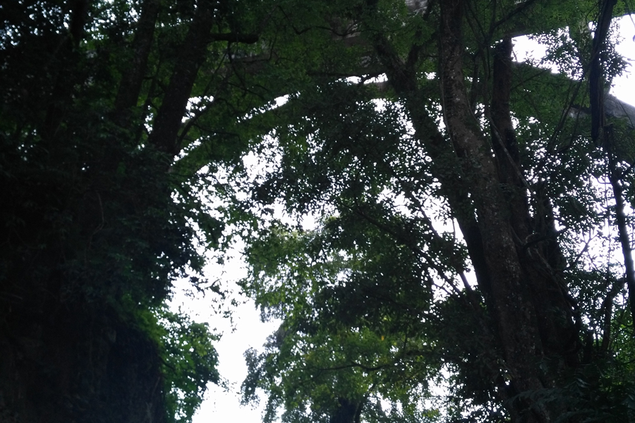 三叠岭瀑布顶部的度假酒店 - 靖西市·靖西网