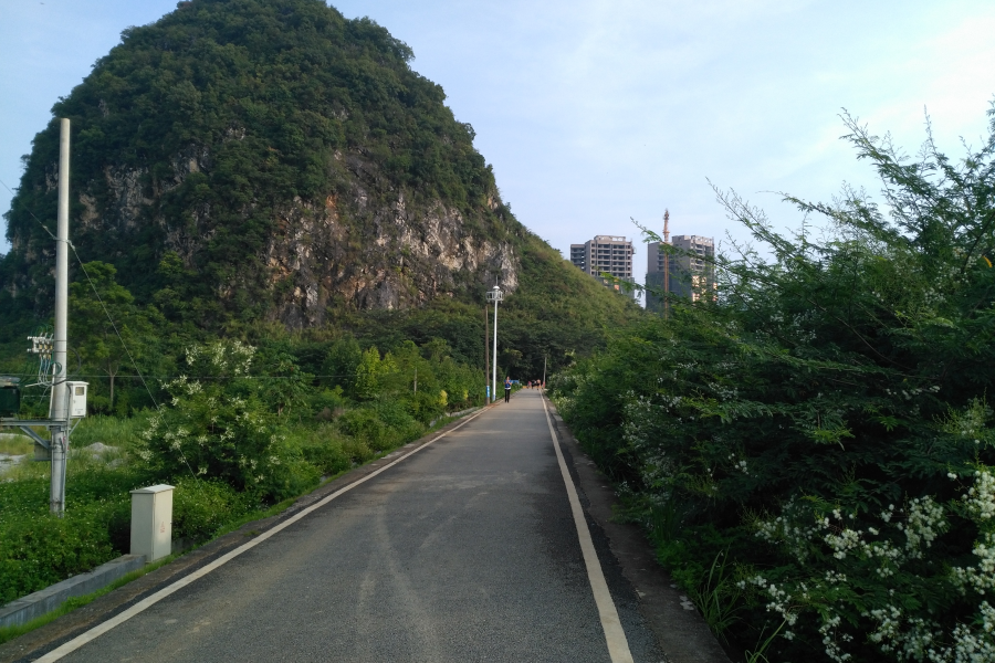 龙潭看山看水，今天看花！ - 靖西市·靖西网