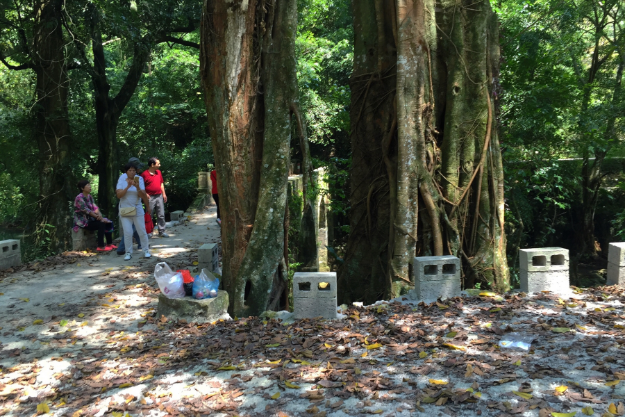 靖西二郎是一个古朴自然，山水秀丽、田园如画的小山村 - 靖西市·靖西网