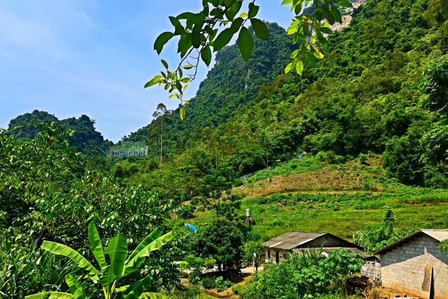 闲门向山路，林密啭鸟语。 - 靖西市·靖西网