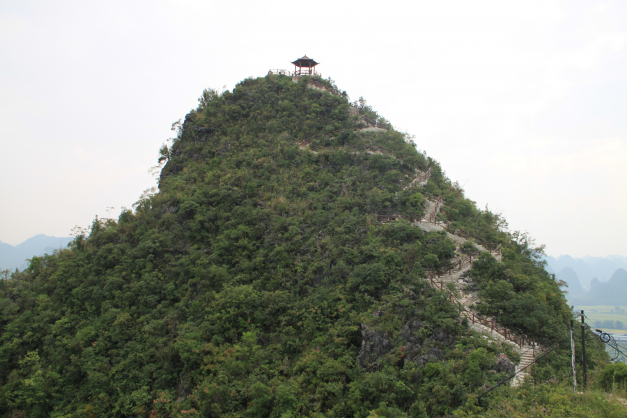 登 凤 凰 山 - 靖西市·靖西网