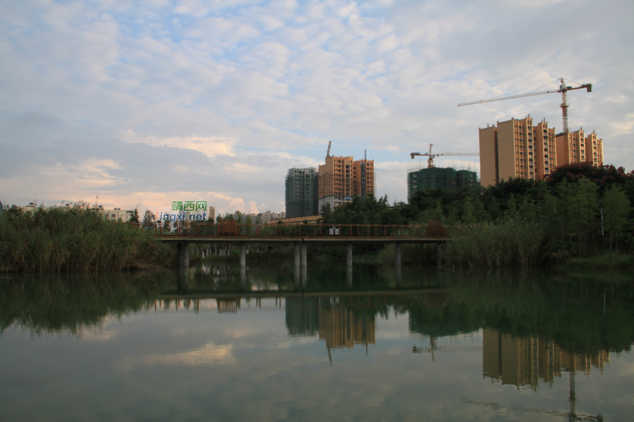 靖西湿地公园 - 靖西市·靖西网