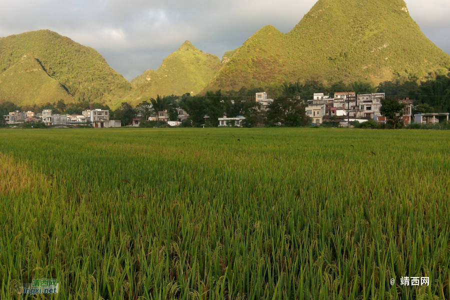 小山村掠影别有一番景象 - 靖西市·靖西网