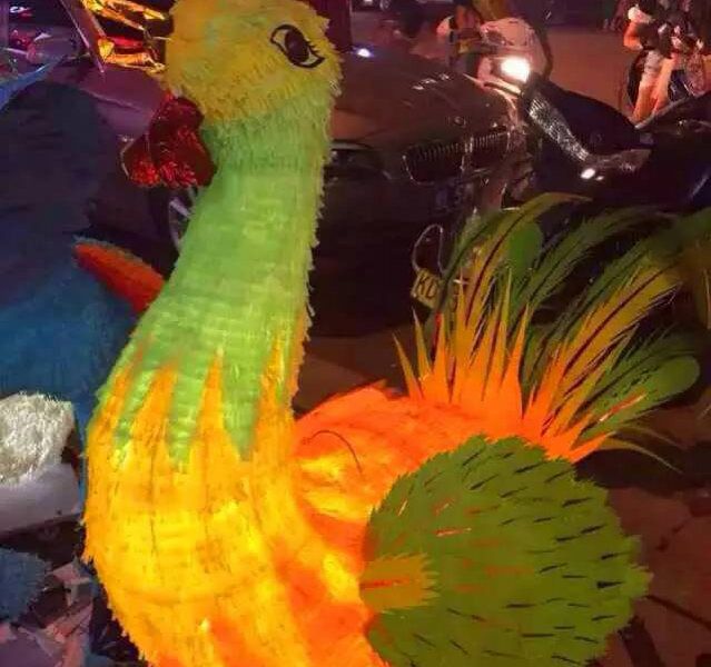 靖西中秋拉“兔子”，只缘与“兔子”有个约会！ - 靖西市·靖西网