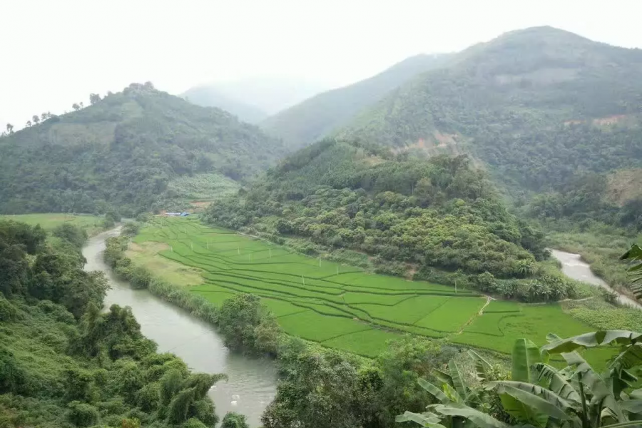 靖西乡村风景，美过画 - 靖西市·靖西网