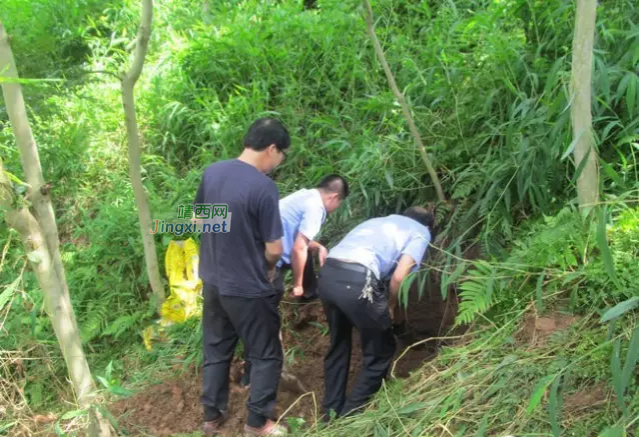 网友们走山路要注意了，百色一男子深山被埋 - 靖西市·靖西网