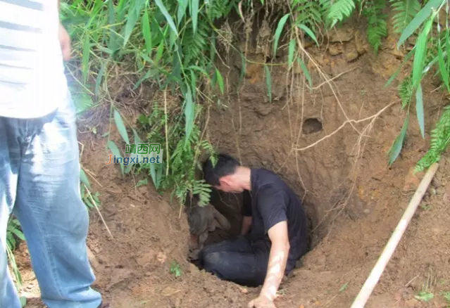 网友们走山路要注意了，百色一男子深山被埋 - 靖西市·靖西网