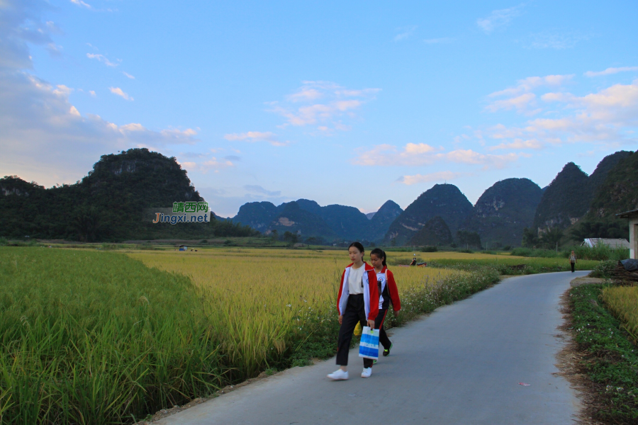 不经意之间，秋已至深，秋意又浓浓。天高風清，云烟满山间，金谷 - 靖西市·靖西网