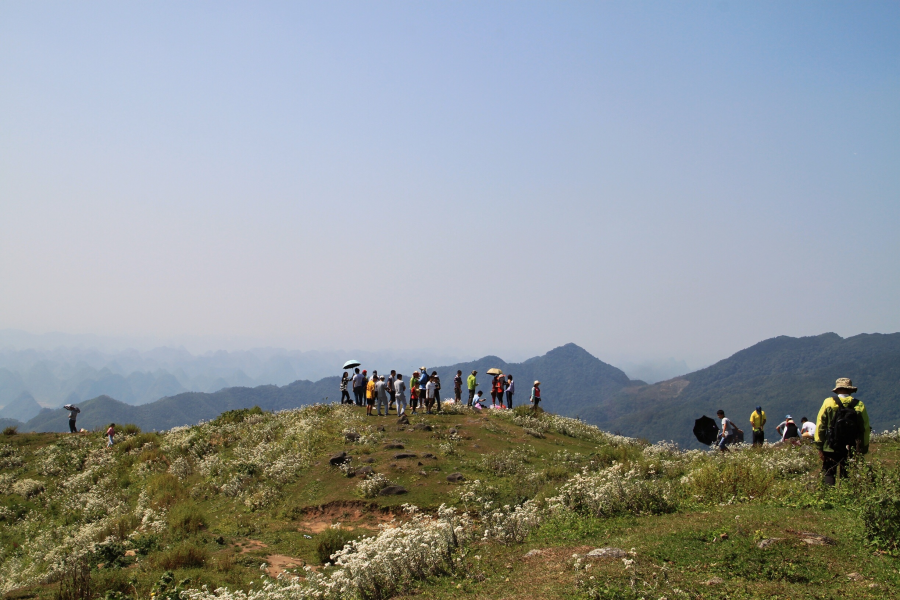 乌鸦山见闻——国庆长假体验美景如画的“乌鸦山” - 靖西市·靖西网