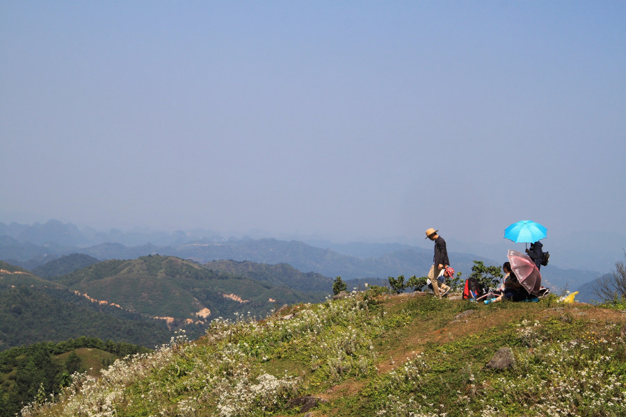 乌鸦山见闻——国庆长假体验美景如画的“乌鸦山” - 靖西市·靖西网