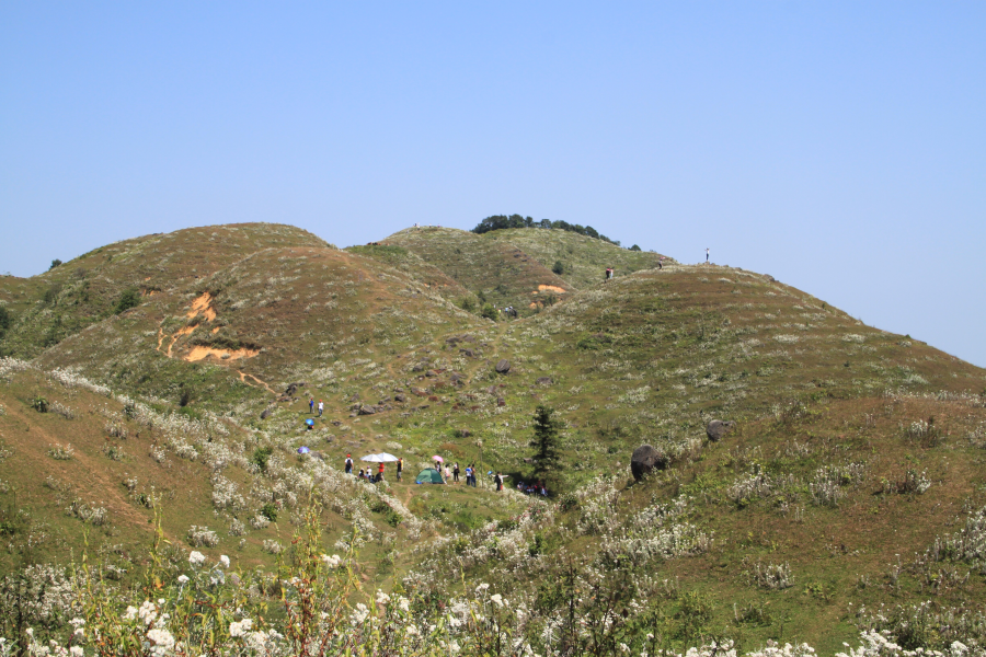 乌鸦山见闻——国庆长假体验美景如画的“乌鸦山” - 靖西市·靖西网