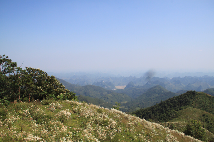 乌鸦山见闻——国庆长假体验美景如画的“乌鸦山” - 靖西市·靖西网