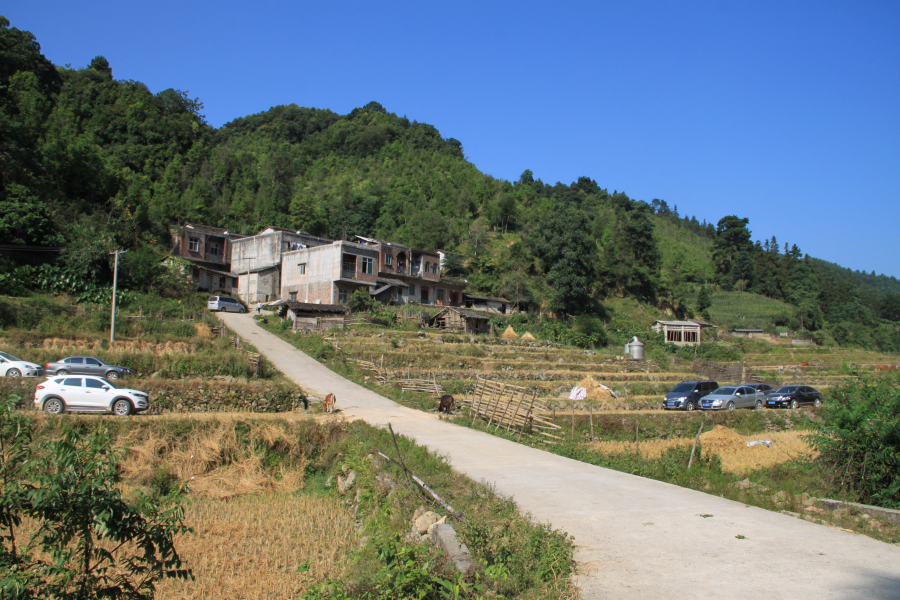 乌鸦山见闻——国庆长假体验美景如画的“乌鸦山” - 靖西市·靖西网