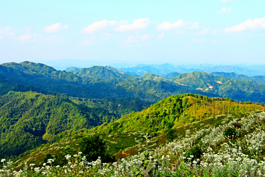 天降一座乌鸦山，高耸入云立长空。不怕浮云遮眼望，只缘身在最高. - 靖西市·靖西网