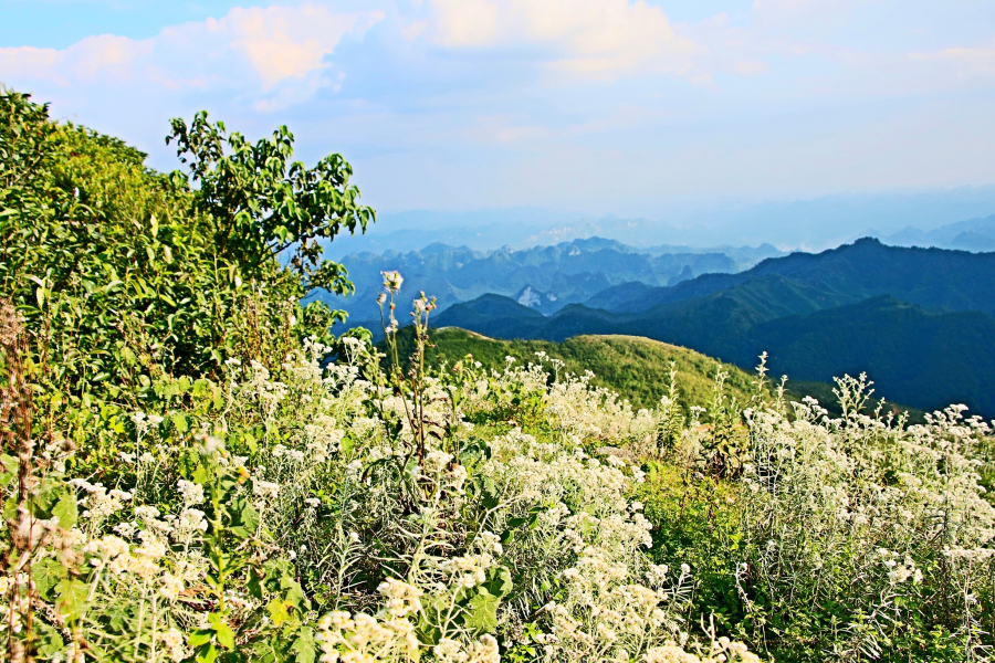 天降一座乌鸦山，高耸入云立长空。不怕浮云遮眼望，只缘身在最高. - 靖西市·靖西网