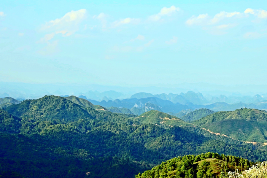 天降一座乌鸦山，高耸入云立长空。不怕浮云遮眼望，只缘身在最高. - 靖西市·靖西网