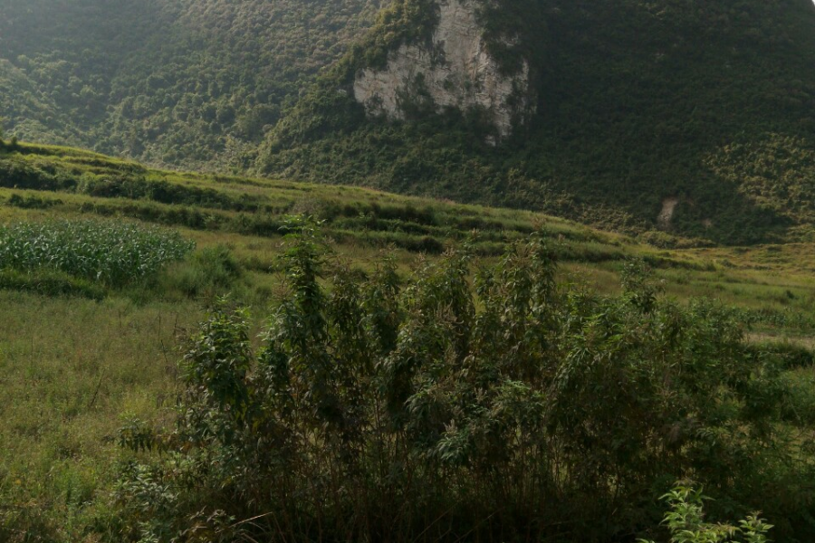 神秘的地方，也许靖西各路摄影师未光临过。 - 靖西市·靖西网