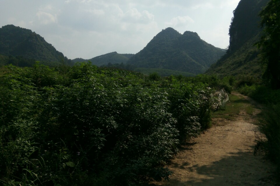 神秘的地方，也许靖西各路摄影师未光临过。 - 靖西市·靖西网