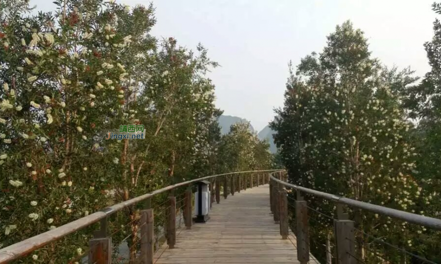 龙潭湿地公园美景，不一样的季节不一样的美！ - 靖西市·靖西网